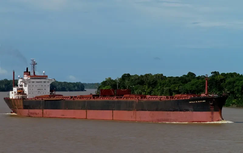 CASTILLO DE MONTALBAN Bulk Carrier IMO 7526596