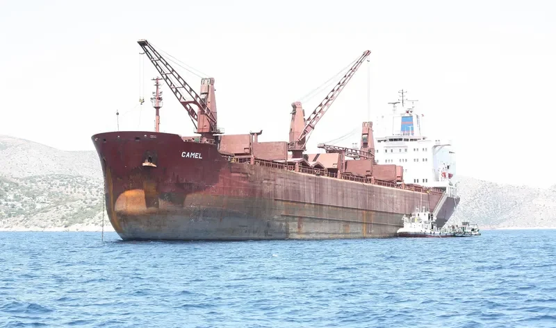 SHASHANK Bulk Carrier IMO 7526675
