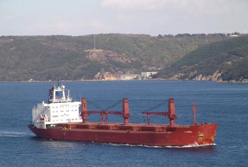 SHASHANK Bulk Carrier IMO 7526675 photo 5