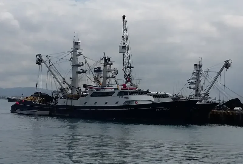 SEA GEM General Cargo IMO 7528001