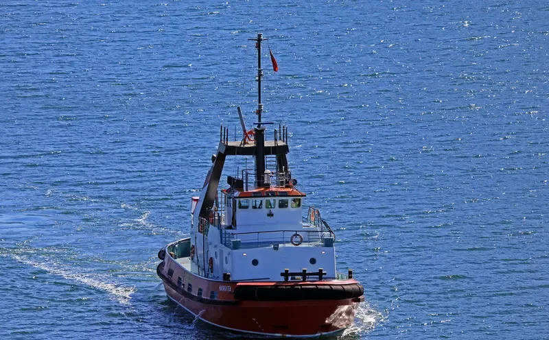 MAUNGATEA General Cargo IMO 7528166 photo 5