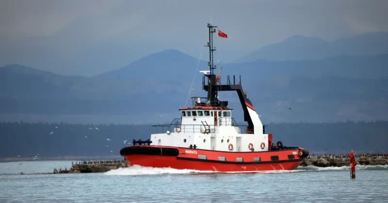 MAUNGATEA General Cargo IMO 7528166 photo 8