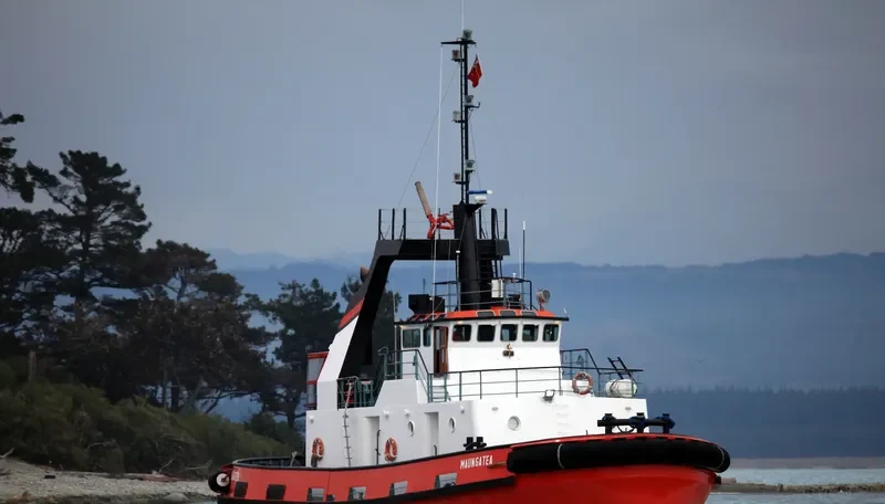 MAUNGATEA General Cargo IMO 7528166 photo 9