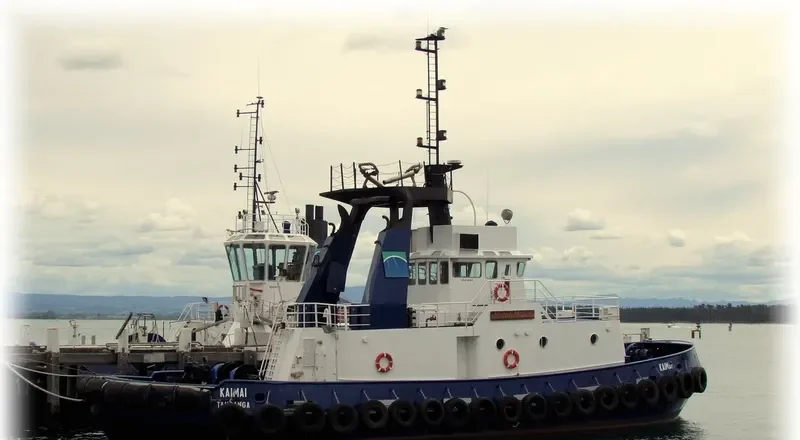 ALBA SAMUDERA 8 Tug Boat IMO 7528178 photo 7