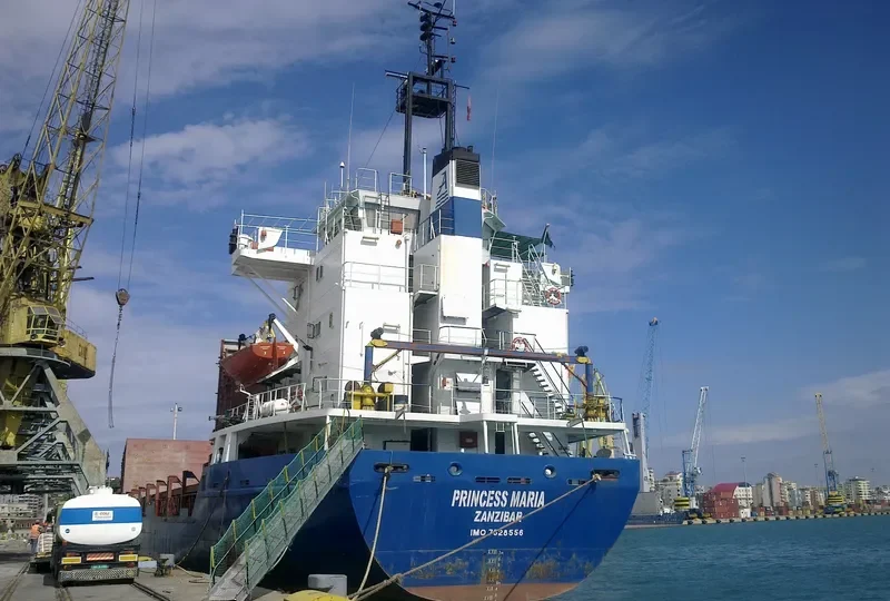 PRINCESS M General Cargo IMO 7528556 photo 7