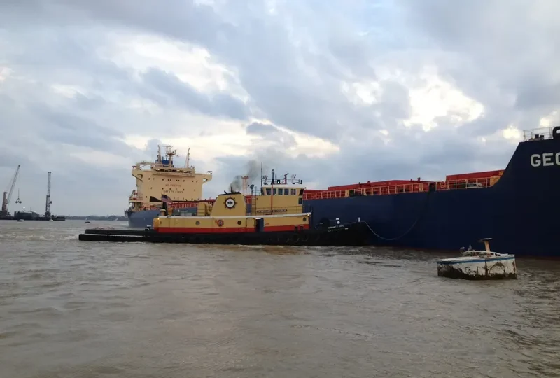 NOON WEDNESDAY General Cargo IMO 7528855 photo 2