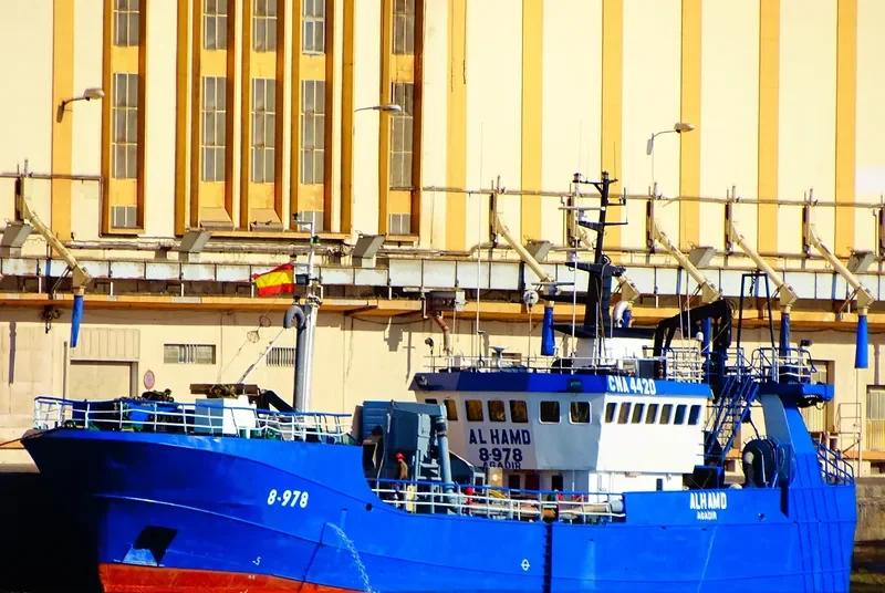 AL HAMD General Cargo IMO 7528984 photo 2