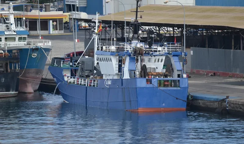 AL HAMD General Cargo IMO 7528984 photo 3