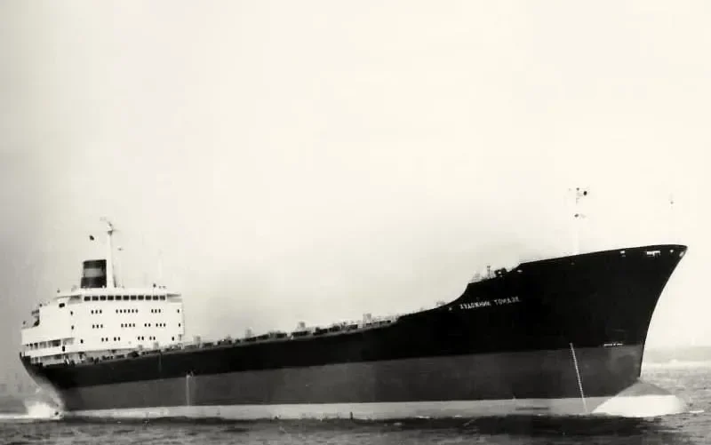 KHUDOZHNIK TOIDZE Bulk Carrier IMO 7529043