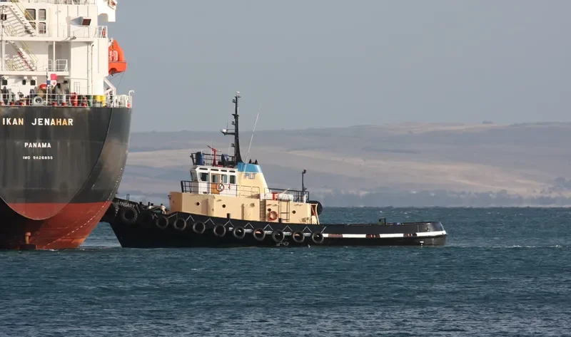 WANGARY Tug Boat IMO 7529809 photo 3