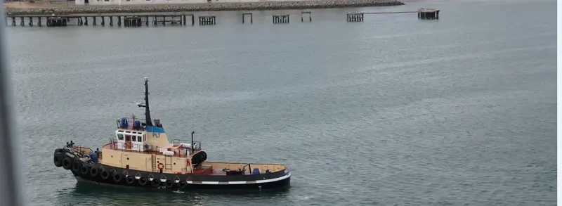 WANGARY Tug Boat IMO 7529809 photo 4
