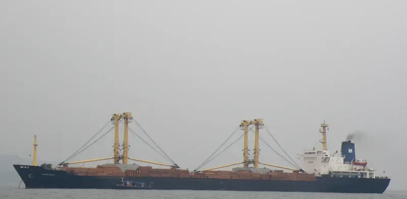 HARISSA Bulk Carrier IMO 7530418 photo 3