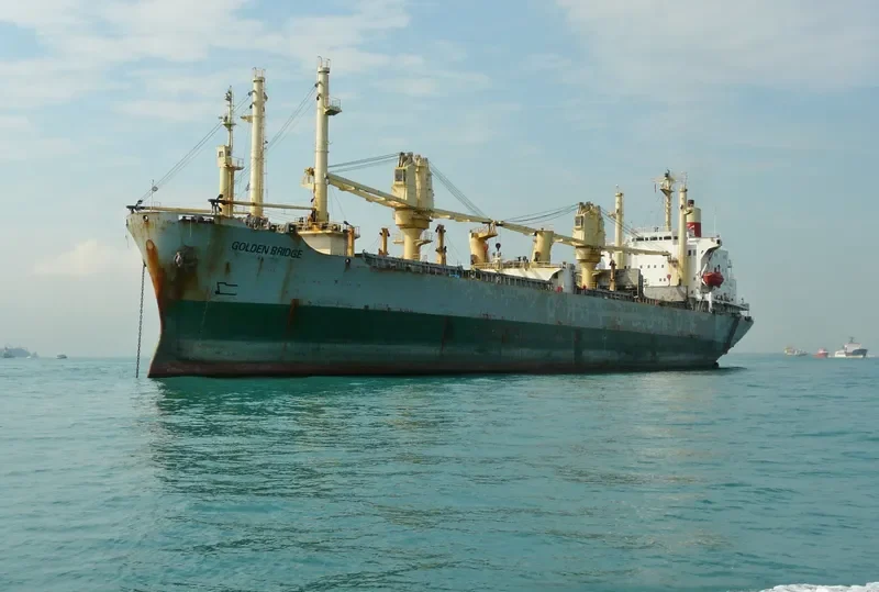 GOLDEN BRIDGE General Cargo IMO 7530470 photo 4