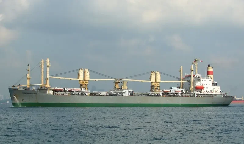 GOLDEN BRIDGE General Cargo IMO 7530470 photo 5