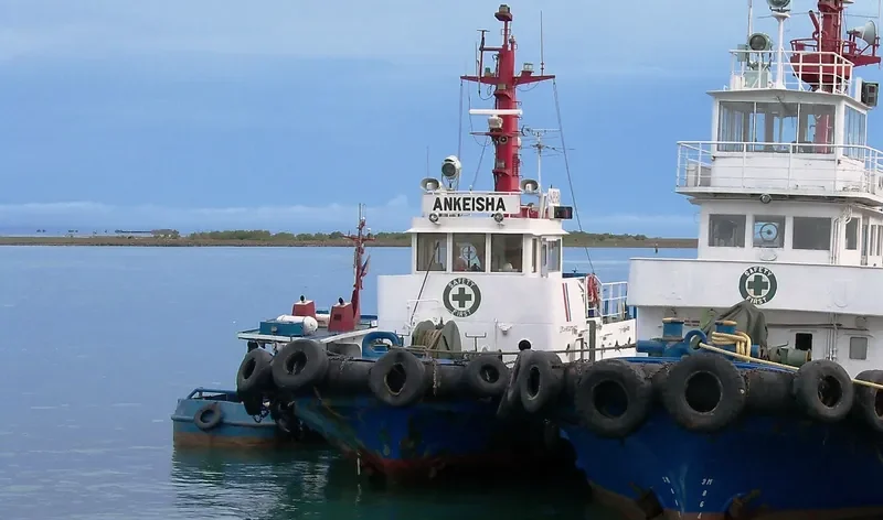 ANKEISHA Tug Boat IMO 7530688
