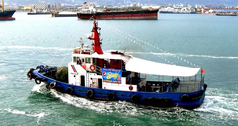 ANKEISHA Tug Boat IMO 7530688 photo 2