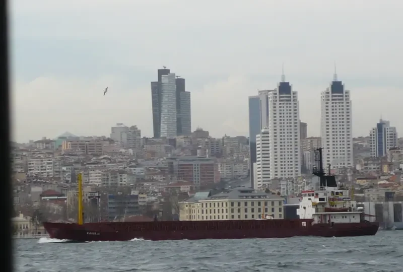 KAMELIA General Cargo Vessel IMO 7530860