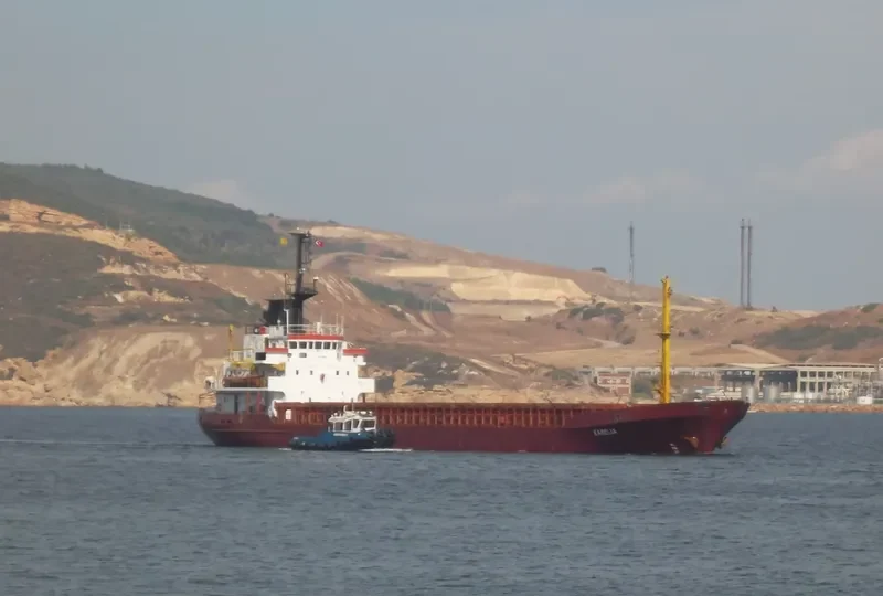 KAMELIA General Cargo Vessel IMO 7530860 photo 2