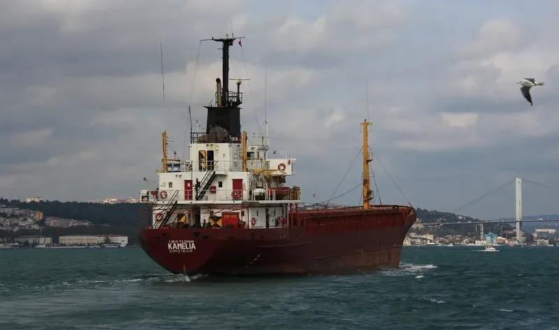 KAMELIA General Cargo Vessel IMO 7530860 photo 4
