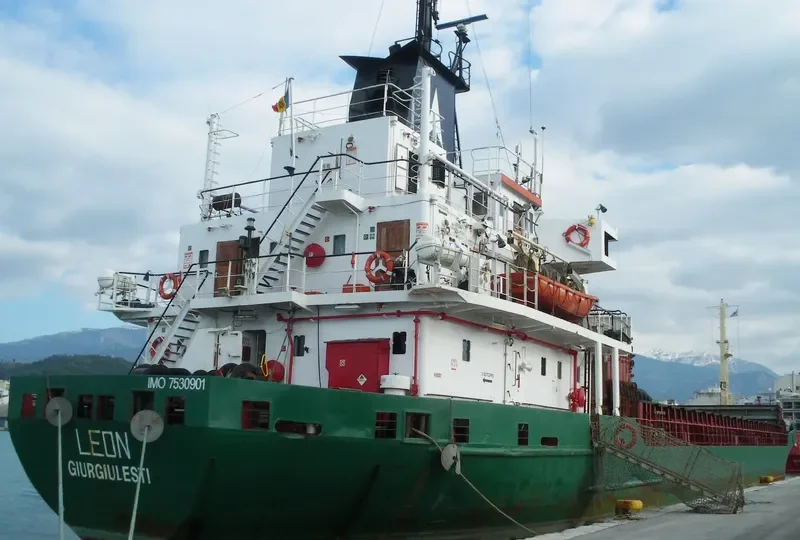 LEON General Cargo IMO 7530901 photo 3
