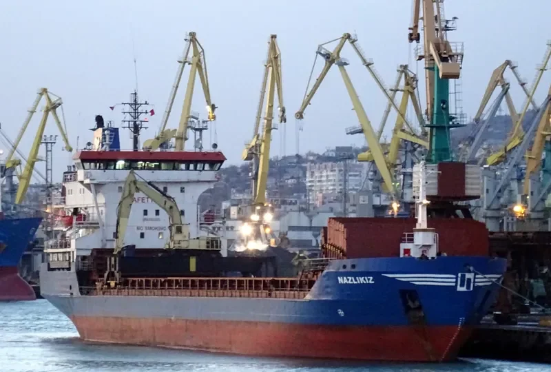 NAZLIKIZ Bulk Carrier IMO 7531369 photo 2