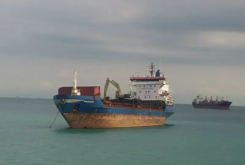 NAZLIKIZ Bulk Carrier IMO 7531369 photo 3