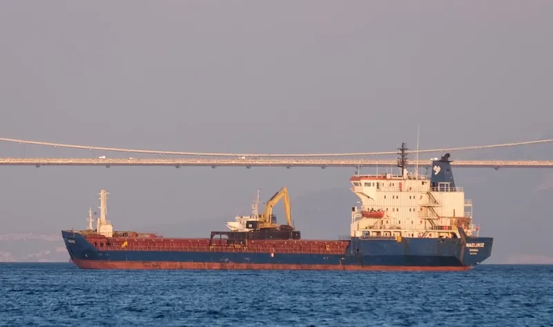 NAZLIKIZ Bulk Carrier IMO 7531369 photo 4