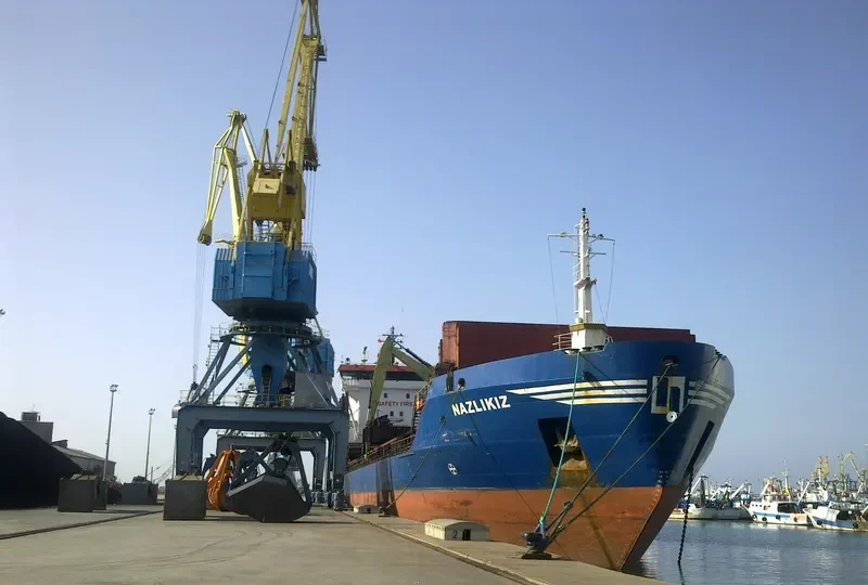 NAZLIKIZ Bulk Carrier IMO 7531369 photo 8