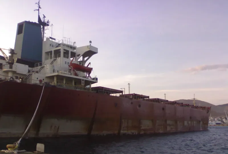 ARIAN Bulk Carrier IMO 7531450