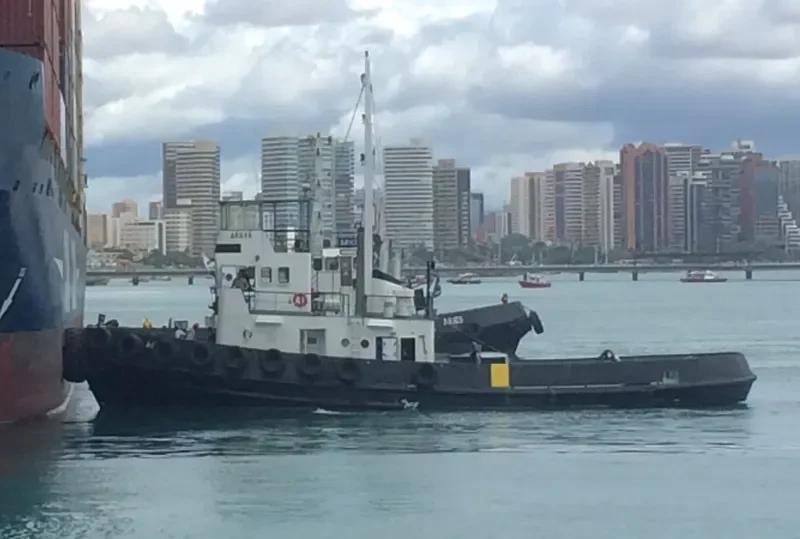 ARAXA Tug Boat IMO 7531527 photo 2