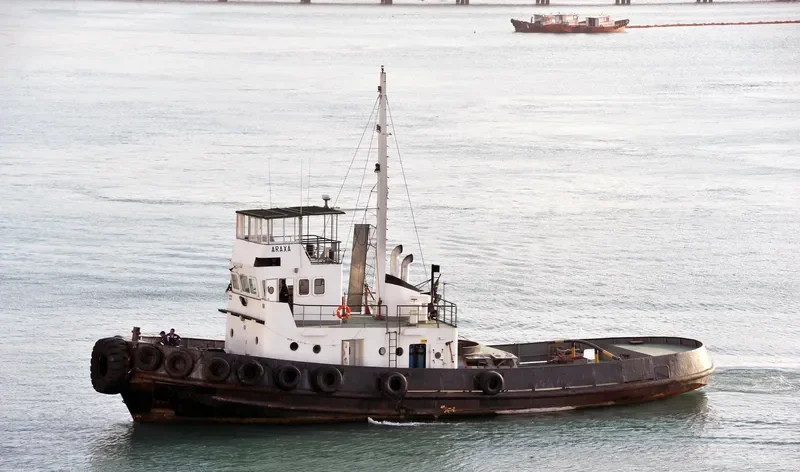 ARAXA Tug Boat IMO 7531527 photo 3