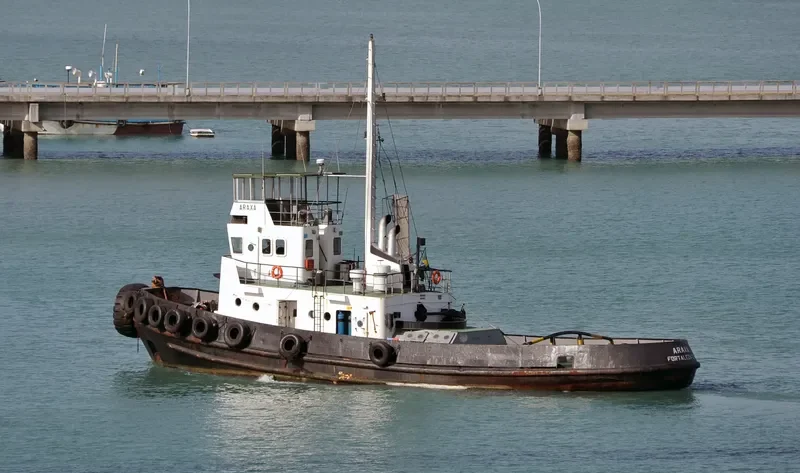 ARAXA Tug Boat IMO 7531527 photo 5