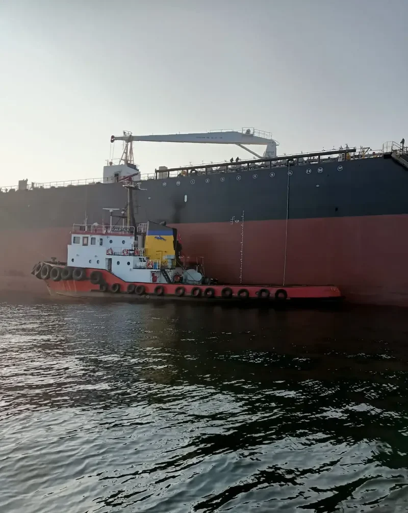 YUMURTALIK General Cargo IMO 7531761 photo 5