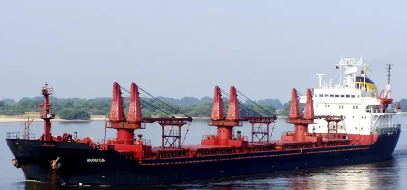 ARIUS Bulk Carrier IMO 7533123