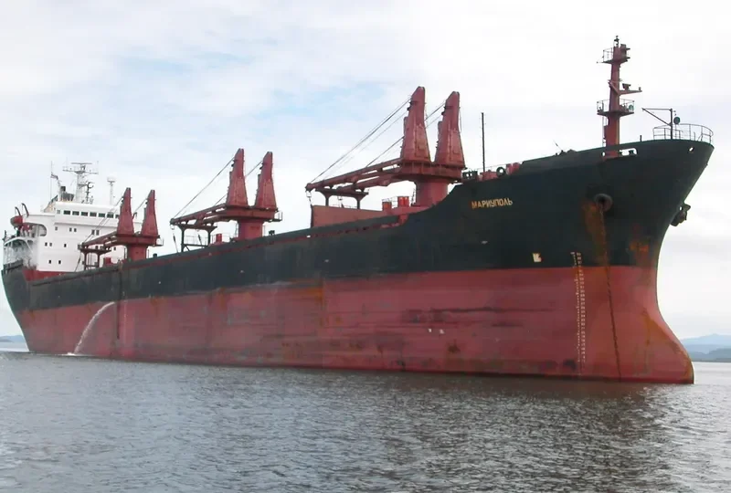 ARIUS Bulk Carrier IMO 7533123 photo 2