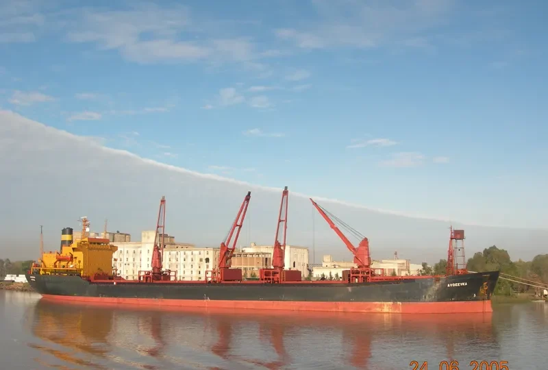AVDEEVKA Bulk Carrier IMO 7533197