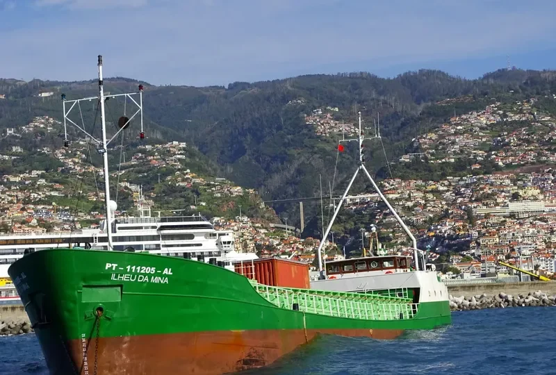 ILHEU DA MINA General Cargo IMO 7533288 photo 6