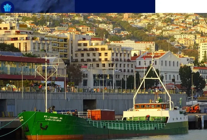 ILHEU DA MINA General Cargo IMO 7533288 photo 7