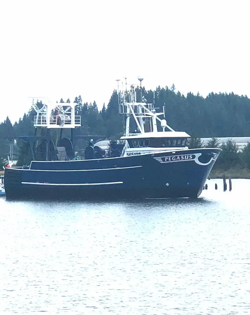 PEGASUS General Cargo IMO 7534646 photo 6