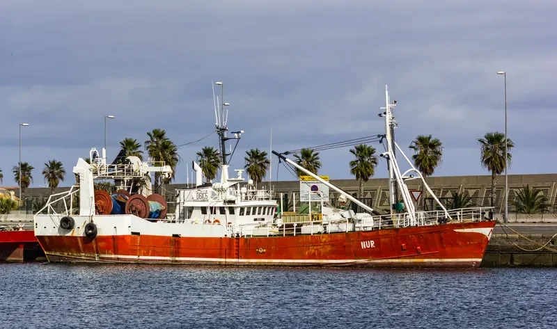 ANELE General Cargo IMO 7600366