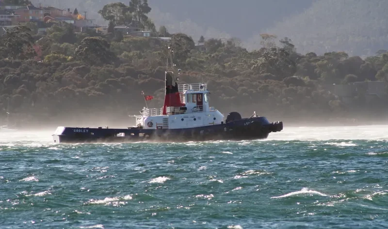 GODLEY General Cargo IMO 7600794 photo 9