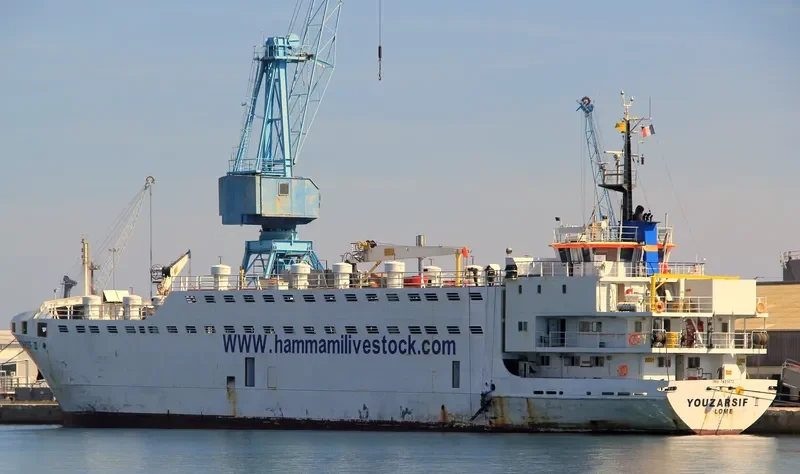 ELITA General Cargo IMO 7601073 photo 3