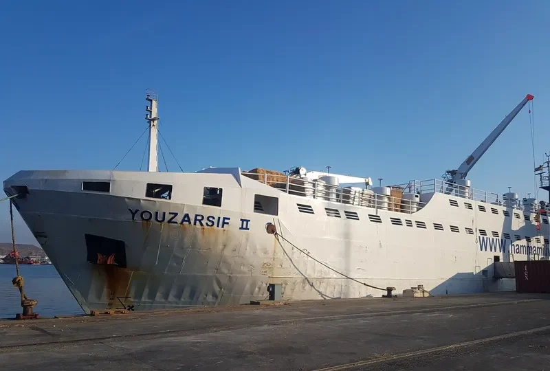 ELITA General Cargo IMO 7601073 photo 5