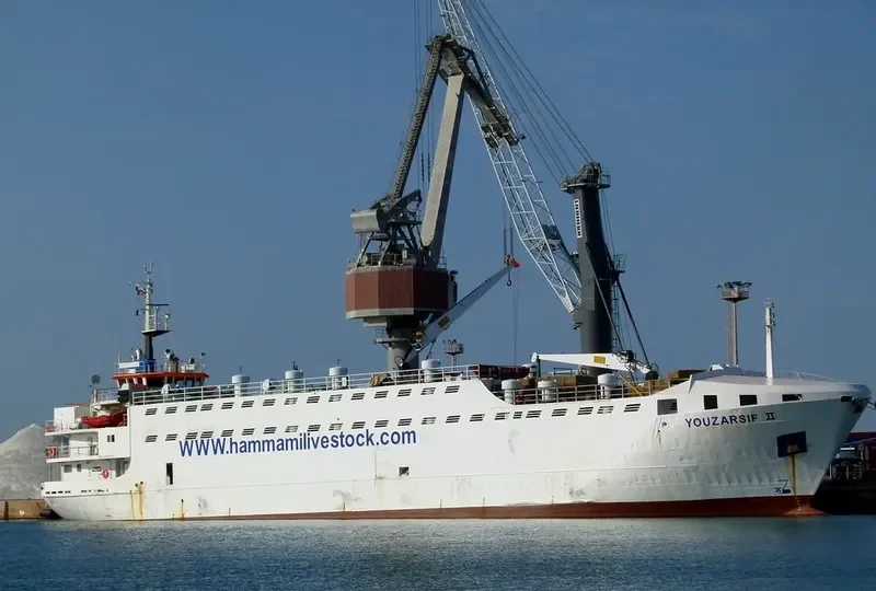 ELITA General Cargo IMO 7601073 photo 8