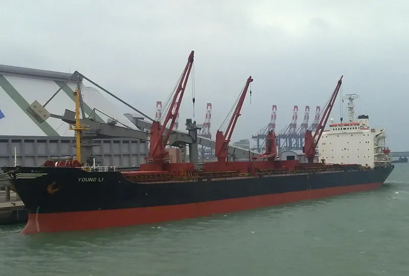 YOUNG LI Bulk Carrier IMO 7601621