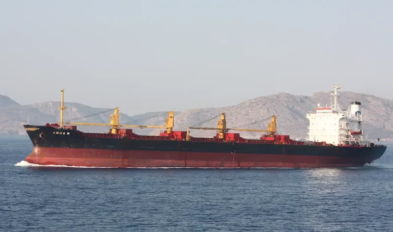 YOUNG LI Bulk Carrier IMO 7601621 photo 3