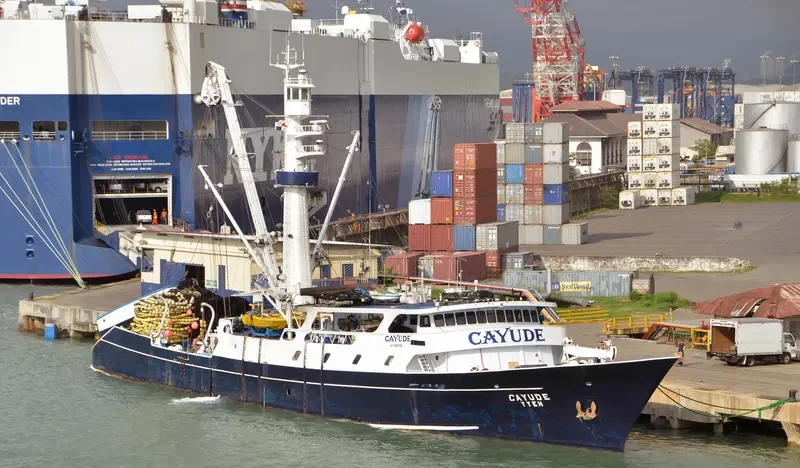 CAYUDE Fishing Vessel IMO 7601736
