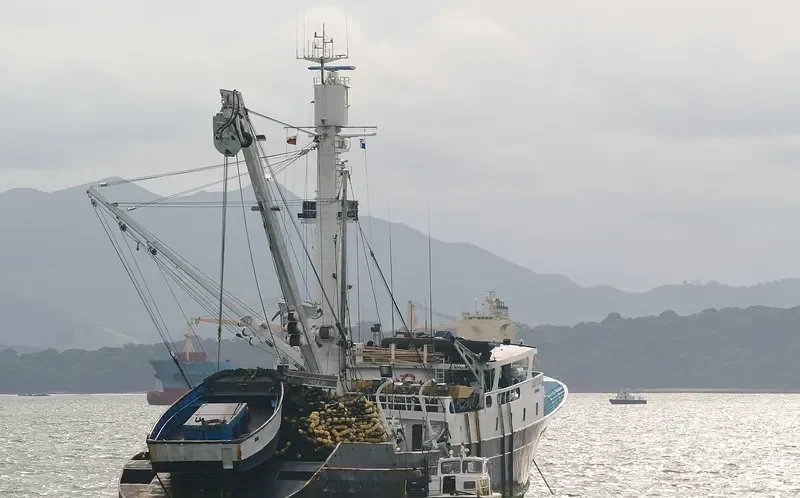CAYUDE Fishing Vessel IMO 7601736 photo 3