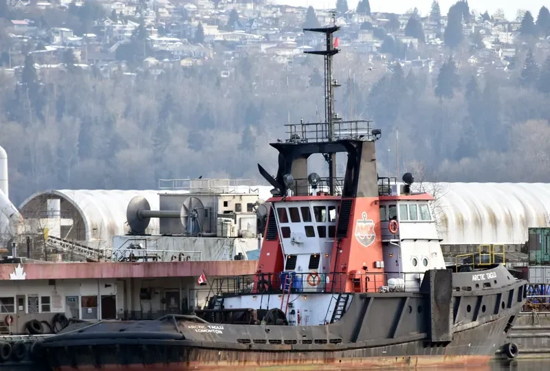 ARCTIC TAGLU General Cargo IMO 7601774 photo 3
