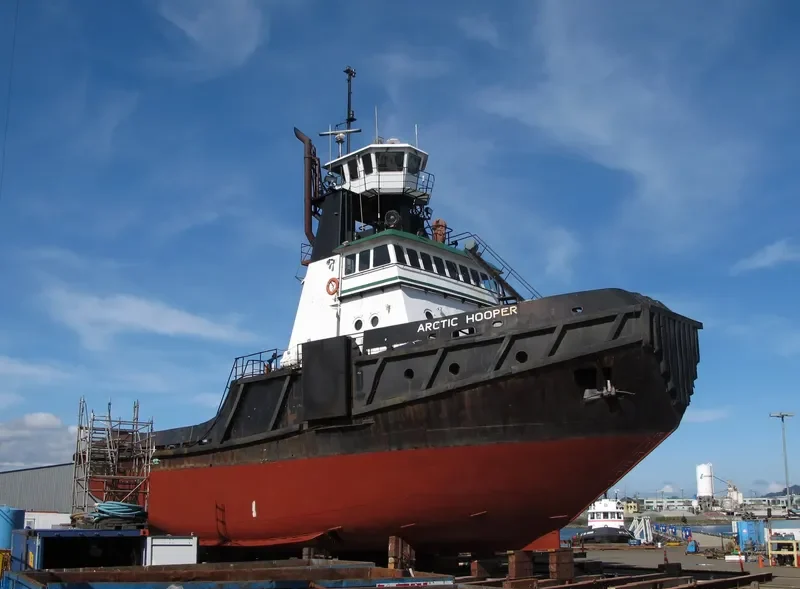 ARCTIC HOOPER General Cargo IMO 7601786 photo 3